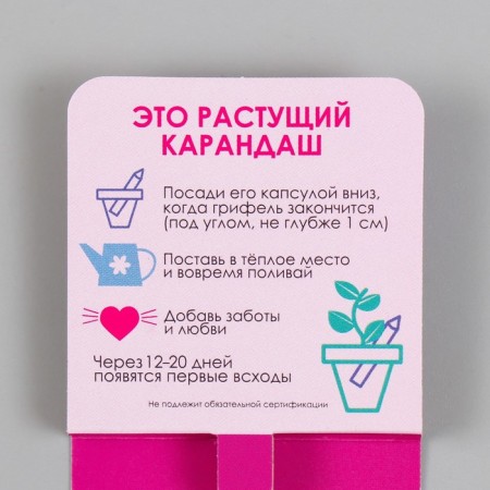 Growing gift pencils mini inspiration of nature "Margarita"-2