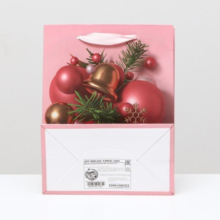 Laminated "Red toys" package, 18 x 23 x 10 cm-1