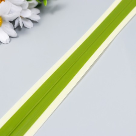 The workpiece for the manufacture of leaves is 35x800 mm, milk/green-1