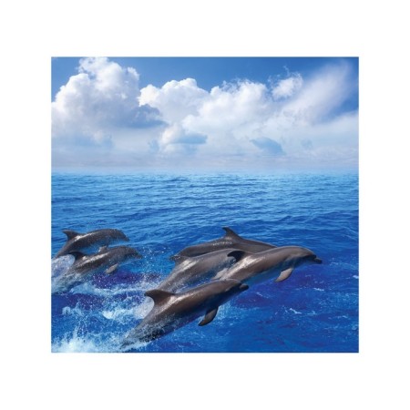 Organizer in a bathtub on the suction cups "jumping dolphins", for storing toys and trifles, size 33x39 cm-1