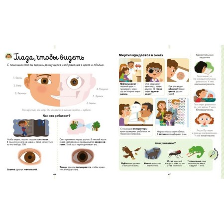 MVM. Encyclopedia in pictures. Big Encyclopedia. The human body-3