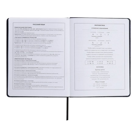 School diary for grades 1-11, solid cover, artificial leather, applique, pancake embossing, metal scenes, silk-screen water, lies, 48 ​​sheets, block 80g/m2, blue-10