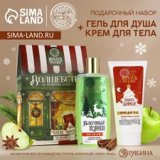 Gift set of cosmetics, shower gel 250 ml and body cream 200 ml, Winter Melody by Ural Lab