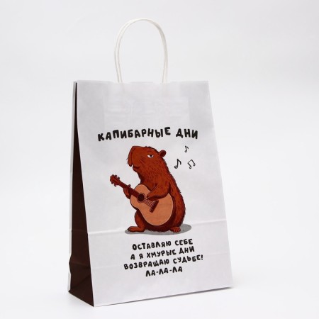 Gift paper package, "Capibar Days", 24 x 10.5 x 32 cm