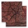 Photophone bilateral cardboard density 350 g "Tree" 50x50 cm