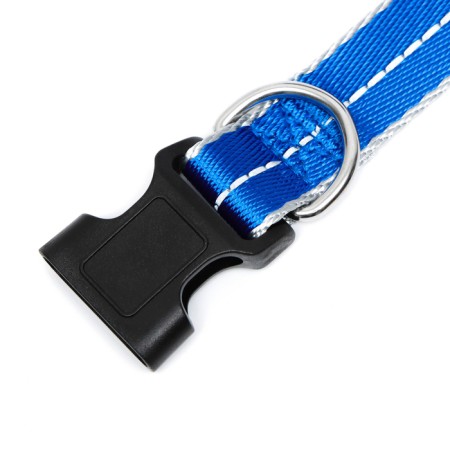 Collar of the reflective "Neon", width 2.5 cm, blue-4
