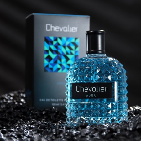 Men's toilet water Chevalier Aqua, 100 ml (based on Versache Eau Fraishe)