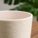 Flower pot "Nest" Platan white No. 4 3.2 l