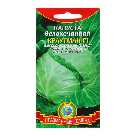 Cabbage Cabbage seeds "Krautman"