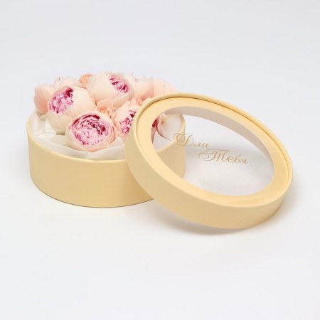 Box - tube 2 in 1, with a transparent lid "Beige", 21 x 7 - 18 x 6 cm-2