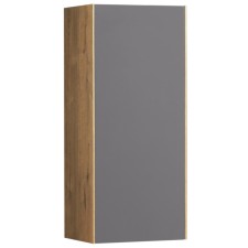 Cabinet of hinged Aquaton Soho, color of oak vellington, graphite software
