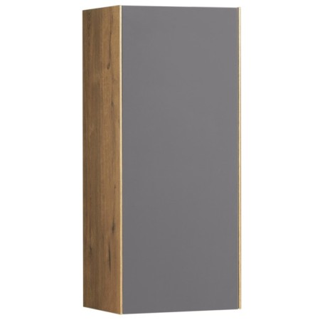 Cabinet of hinged Aquaton Soho, color of oak vellington, graphite software