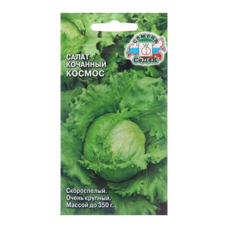 Seeds Salad Iceberg "Cosmos", 1 g