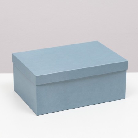 Set of boxes 10 in 1 "barracudus" 30.5 x 20 x 13 - 12 x 6.5 x 4 cm-3