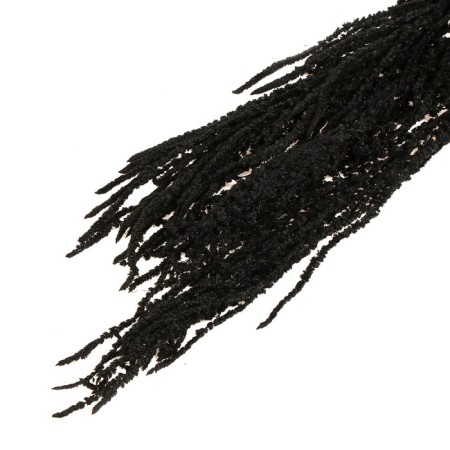 Dry flowers of amaranth, 100 g, sheet size: from 50 to 60 cm, black color-4
