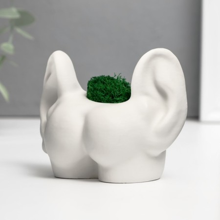Kashpo concrete "ass with ears" with moss 8*10cm white (moss green stabilized)-2