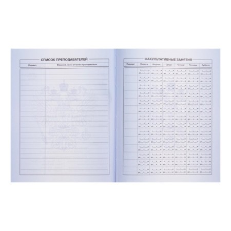 The diary is universal, for grade 1-11, "tirade", a solid cover, glossy lamination, an offset unit, a universal cheat sheet, 48 sheets-4