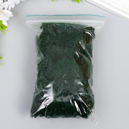 Moss stabilized "grass" 45 grams (+-5 gr)-2