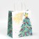 Package Gift Craft "Star", 22 x 25 x 12 cm, New Year