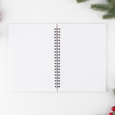 New Year. Diary in a gift box “The owner of life”, A5, 60 sheets, on the crest-1