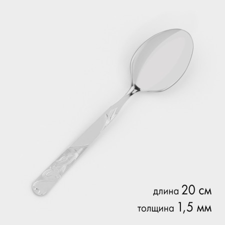 Tablespoon “Economy”, h = 20 cm, thickness 1.5 mm, silver color