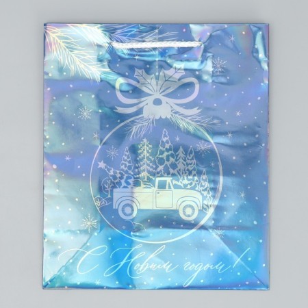 Holographic package "Morozko", ml 23 x 27 x 11.5 cm, new year-5
