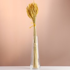 Set of dried flowers 