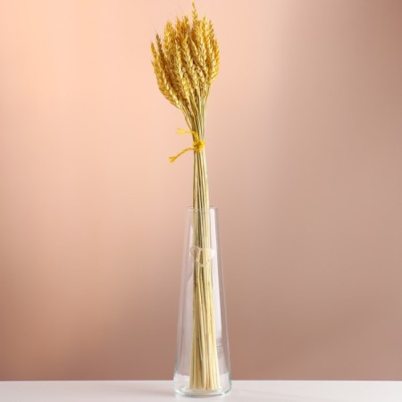 Set of dried flowers "wheat", banch 35-40 pcs, length 60-65 (+/- 6 cm), yellow
