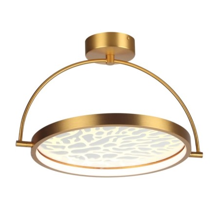 IP20 36W ceiling lamp-3