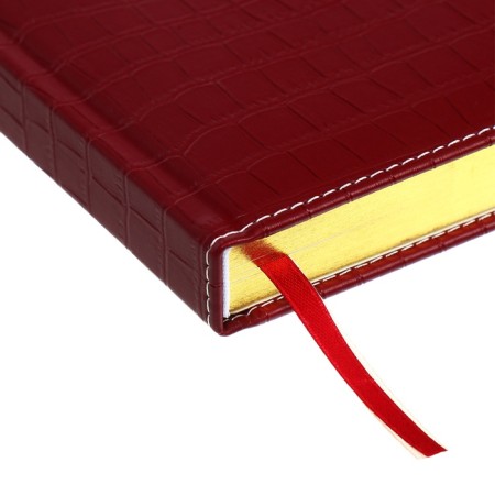 Dated diary 2024 A5 176 sheets, Devente.wild, Firmly covered with artificial leather, gold cut, lies, cream block 70 g/m2, burgundy block-4