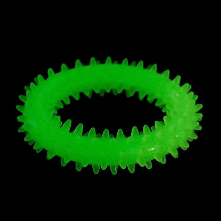 A toy for dogs lining in the dark, "Ring with spikes", 9 cm-9