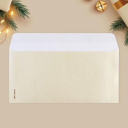 A set of gift envelopes "Happy New Year", 10 pieces, embossing, 22 x 11 cm, New Year-16
