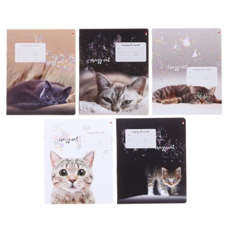 Notebook of 12 sheets in the “Amazing kittens” cage, cover coated paper, VD-LK, MIX