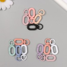 Carabiner Metal with a ring 
