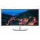 Dell 34 Munitor "Ultrasharp U3423WE Black IPS LED 8MS 21: 9 HDMI M/M Matte Has Piv 300CD 1068552