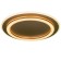 Luer with PDD "Ringo" 2XLED 112W 3000-6000K gold 50x50x5 cm BayerLux