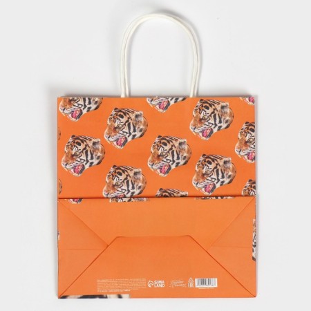 Gift package, packaging, "male", 22 x 22 x 11 cm-6