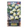 Sharp seeds Aiji White Fantasy, People's favorite, 20 pcs