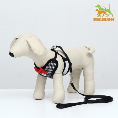 A set with a soft harness and a bow, size S, leash 120 x 1.5 cm, fire 23-42 cm, gray