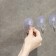 Hooks on the vacuum suction cup of the “classic” shares, 4 pcs