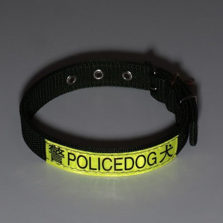 Two -layer collar with a swivel, 3 cm, green-6