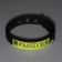Two -layer collar with a swivel, 3 cm, green
