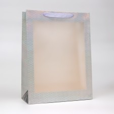 Packet Holography with a window, 