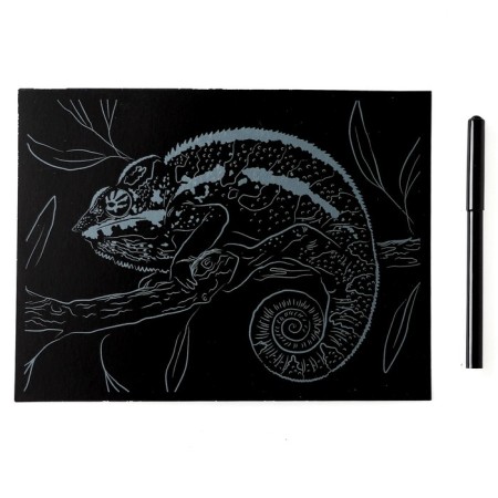 Engraving 18 × 24 cm, animals of Africa "Multi -colored chameleon" (holography)-2