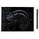 Engraving 18 × 24 cm, animals of Africa "Multi -colored chameleon" (holography)
