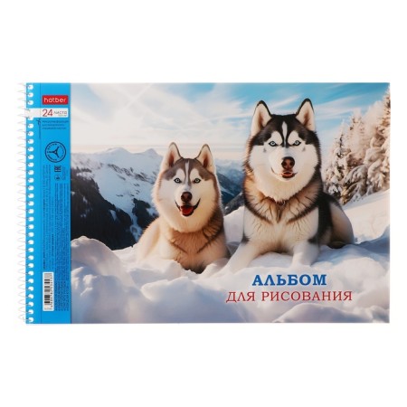 Album for drawing A4, 24 sheets on the crest "Assorted. Issort No. 3", covered cardboard, perforation, block 100 g/m2, mix-3