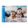 Album for drawing A4, 24 sheets on the crest "Assorted. Issort No. 3", covered cardboard, perforation, block 100 g/m2, mix