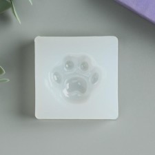 Mold Silicon 