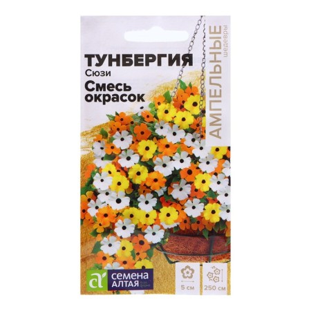 Sezi Tunbergia Sezi, 4 pcs.