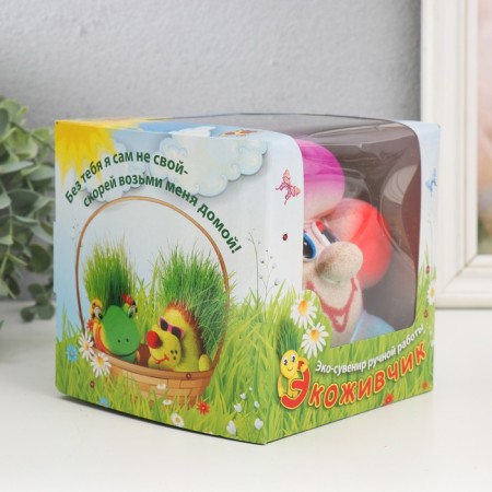 Growing gift Eco -Zhizhivchik "Five -color" Gift packaging mix-6